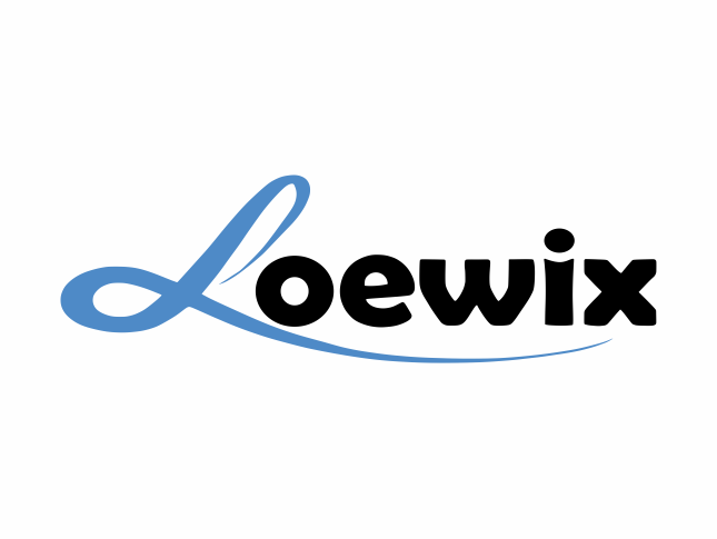 LOEWIX CCTV